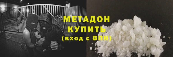 стаф Алзамай