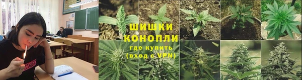 индика Абдулино